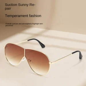 Metal Big Frame One Piece Y2K Pilot Women Sunglasses Fashion Men’s Personalized Outdoor Shades