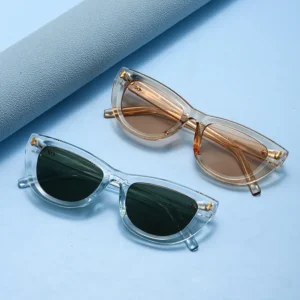 New Fashion Cat Eye Frames Women’s Sunglasses Custom Logo Full Rim UV400 Designer Sunglasses Women Men Trendy Shades