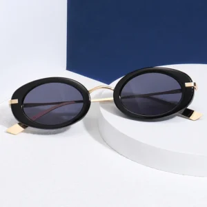 Oval Trendy Sunglasses Vintage Ocean Plastic Frame Shades Small Rectangle Sunglasses for Women Men