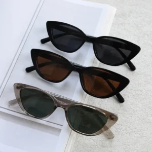 Plastic Small Oval TR90 Frame Cat Eye Shade Tortise Fashion Irregular Retro Polarized Shades Sunglasses