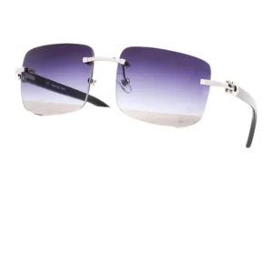 Ready to Ship Buffalo Horn Frames with Fashionable Gradient Lenses